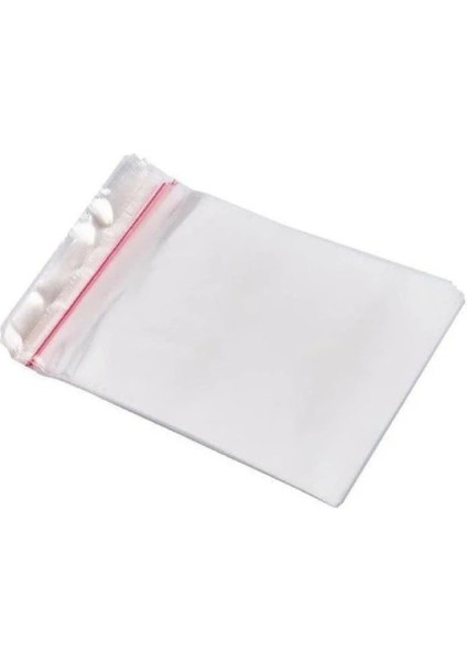 3000 Adet Şeffaf Yapışkanlı Delikli Poşet - Opp Kendinden Yapışkanlı Parlak Poşet Delikli 30X45 cm