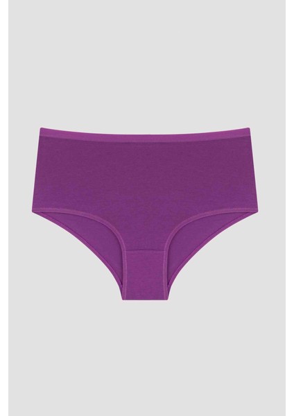 Zebra Desenli 3lü Yüksek Bel Slip Külot