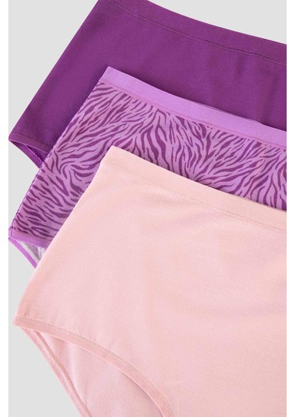 Zebra Desenli 3lü Yüksek Bel Slip Külot