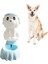 Otomatik Pet Besleyici Kedi ve Köpek Büyük Kapasiteli Içme Çeşmesi, Stil: Içme Çeşmesi (Mavi) (Yurt Dışından) 1