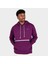 Sportswear Basketbol Issue Erkek Bordo Kapüşonlu Sweatshirt CV0864-610 4