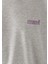 Erkek Mavi Logo Baskılı Bisiklet Yaka Gri Sweatshirt 0610704-80196 6