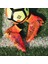 Erkek Futbol Krampon - Turuncu (Yurt Dışından) 3
