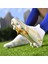 Erkek Futbol Krampon - Beyaz (Yurt Dışından) 4