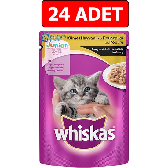 Whiskas Junior Kümes Hayvanlı Yavru Kedi Yaş Maması 100GR 24 Fiyatı