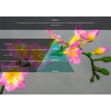 Rulopak Nanoplus M7 Kristal Koku Kartuşu 200 ml