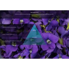 Rulopak Nanoplus M7 Trillion Lady Kartuşu 200 ml