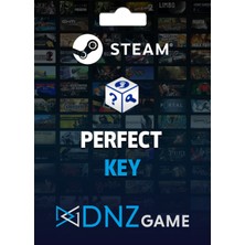 Dnz Game Steam Random Key (Perfect)