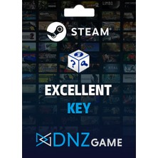 Dnz Game Steam Random Key (Excellent)