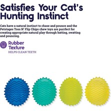 Petstages Toss N' Flip Chips Chew Kedi Oyuncağı, Mavi - 67842
