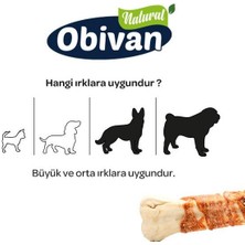 Obivan Tavuklu Köpek Diş Bakım Kemiği M