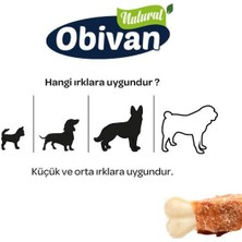 Obivan Tavuklu Köpek Diş Bakım Kemiği Xs 4 Adet