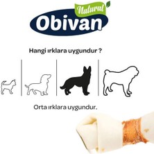 Obivan Tavuklu Dental Düğüm Köpek Diş Bakım Kemiği Xs