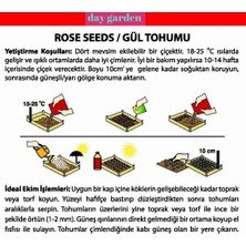 Day 50 Adet Karışık Renk Gül Çiçeği Tohumu ve 10 Adet Hediye K.renk Lale Çiçek Tohumu