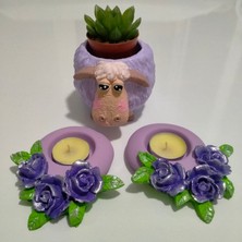 Mini Hobi Ev Sukulent Veya , Dekoratifaksesuar , Mutfaksüsü