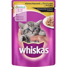 Whiskas Junior Kümes Hayvanlı Yavru Kedi Yaş Maması 100GR 12 Adet Kedi Islak Mama Pouch Konserve