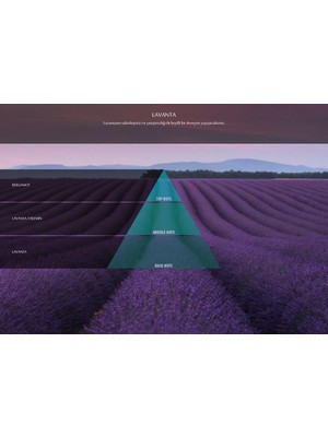 Rulopak Nanoplus M7 Lavanta Koku Kartuşu 100 ml