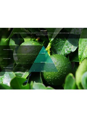 Rulopak Nanoplus M7 Arizona Koku Kartuşu 200 ml