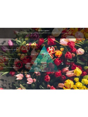 Rulopak Nanoplus M7 Flora Garden Koku Kartuşu 200 ml