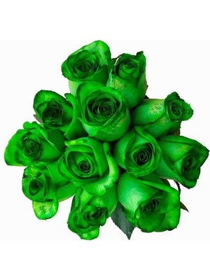 Day 100'lü Yeşil Renk Gül Çiçeği Tohumu + 10'lu Kırmızı Lale Çiçek Tohumu