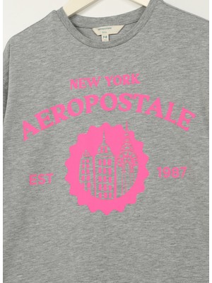 Aeropostale T-Shi, 13-14 Yaş, Gri Melanj