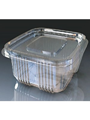 Kumsal Mutfak Plastik Sızdırmaz Kap 250 gr -100 Adet - 123SEFFAF - V