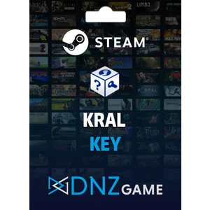 Dnz Game Steam Random Key (Kral)