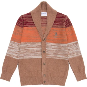 U.S. Polo Assn. Erkek Çocuk Vişne Triko Hırka 50253329-1114