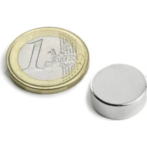 Dünya Magnet 15 x 5mm Yuvarlak Süper Güçlü Neodyum Mıknatıs