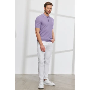 ALTINYILDIZ CLASSICS Erkek Lila Standart Fit Normal Kesim Polo Yaka %100 Pamuk Kısa Kollu Triko Tişört