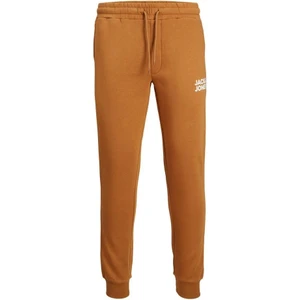 Jack & Jones Jpstgordon Erkek Yeni Soft Sweat Pantolon