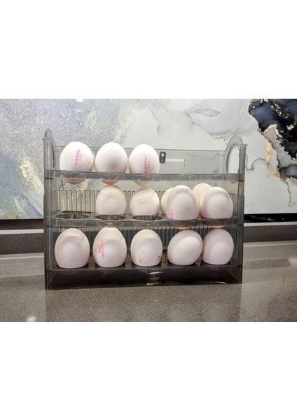 Buzdolabı Yumurta Organizeri SC-4301