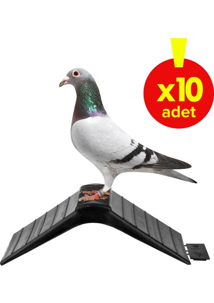 VİXPET Güvercin Tüneği - Bekar Tüneği