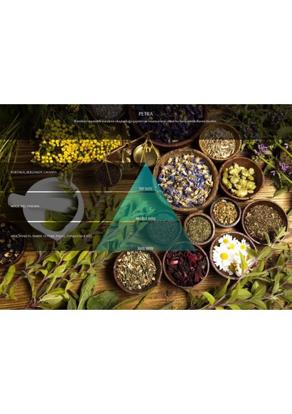 Nanoplus M7 Petra Koku Kartuşu 100 ml fiyatları