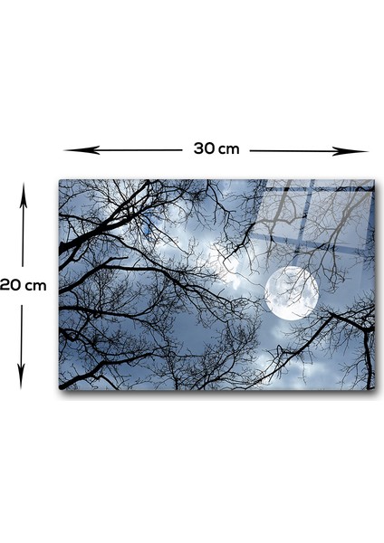 Gece Desen | Cam Kesme Tahtası - Cam Kesme Tablası | 20cm x 30cm fırsatları