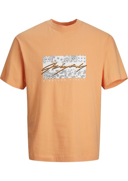 Jorpaısley Front Tee Ss Crew Neck Mc Turuncu Erkek T-Shirt 12235738-Pumpk