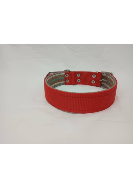 Büyük Irk Köpek Tasması 70 X4 cm