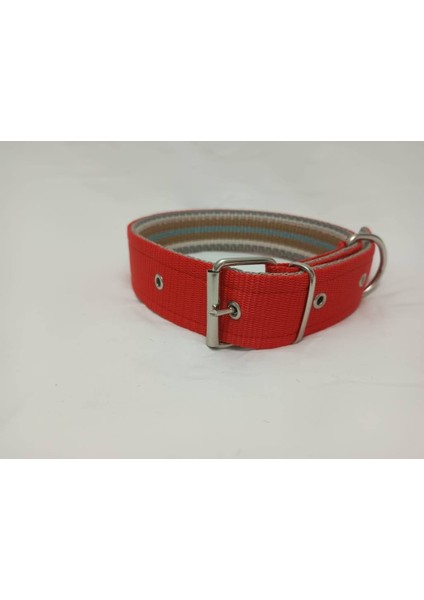 Büyük Irk Köpek Tasması 70 X4 cm