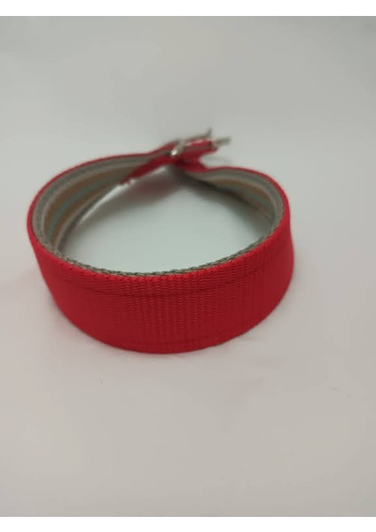 Büyük Irk Köpek Tasması 70 X4 cm