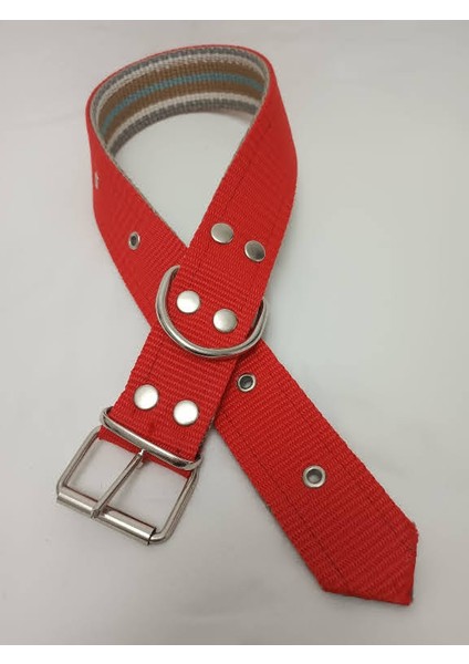 Büyük Irk Köpek Tasması 70 X4 cm