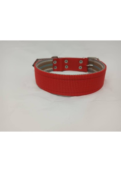 Büyük Irk Köpek Tasması 70 X4 cm