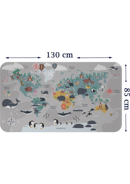 Doğaltercih Eğitici Dünya Haritası Dünya Atlası Çocuk ve Bebek Odası Duvar Sticker 3821XL