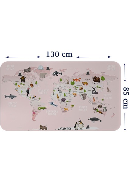 Doğaltercih Eğitici Dünya Haritası Dünya Atlası Çocuk ve Bebek Odası Duvar Sticker 3795XL