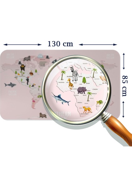 Doğaltercih Eğitici Dünya Haritası Dünya Atlası Çocuk ve Bebek Odası Duvar Sticker 3795XL fırsatları