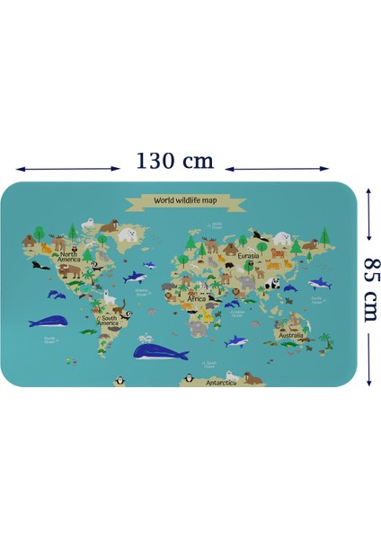 Doğaltercih Eğitici Dünya Haritası Dünya Atlası Çocuk ve Bebek Odası Duvar Sticker 3829XL