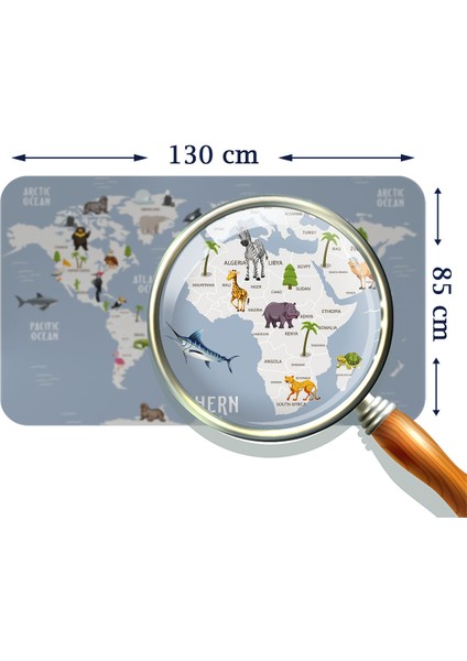 Doğaltercih Eğitici Dünya Haritası Dünya Atlası Çocuk ve Bebek Odası Duvar Sticker 3789XL fırsatları