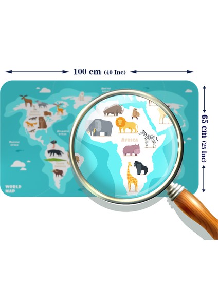 Doğaltercih Eğitici Dünya Haritası Dünya Atlası Çocuk ve Bebek Odası Duvar Sticker 3785XL fırsatları