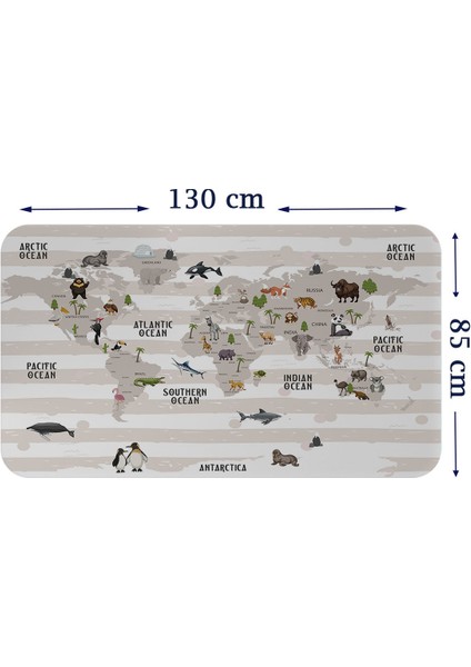 Doğaltercih Eğitici Dünya Haritası Dünya Atlası Çocuk ve Bebek Odası Duvar Sticker 3803XL