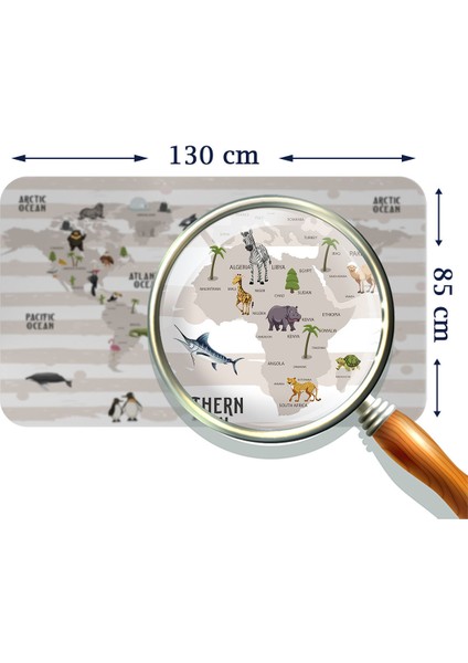 Doğaltercih Eğitici Dünya Haritası Dünya Atlası Çocuk ve Bebek Odası Duvar Sticker 3803XL fırsatları