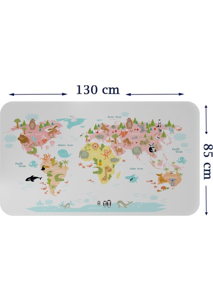 Doğaltercih Eğitici Dünya Haritası Dünya Atlası Çocuk ve Bebek Kız Çocuğu Odası Duvar Sticker 3777XL